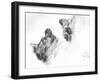 Liddle Kiddie, 1996, (ink on paper)-Vincent Alexander Booth-Framed Giclee Print