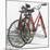Lido Bikes Duet-Micheal Zarowsky-Mounted Giclee Print