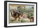 Black Frame