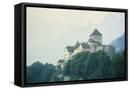 Framed Canvas