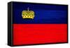 Liechtenstein Flag Design with Wood Patterning - Flags of the World Series-Philippe Hugonnard-Framed Stretched Canvas