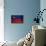 Liechtenstein Flag-budastock-Stretched Canvas displayed on a wall