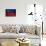 Liechtenstein Flag-budastock-Mounted Art Print displayed on a wall