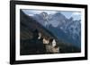 Liechtenstein - Vaduz - (Schloss) Vaduz Castle-Richard Baker-Framed Photographic Print