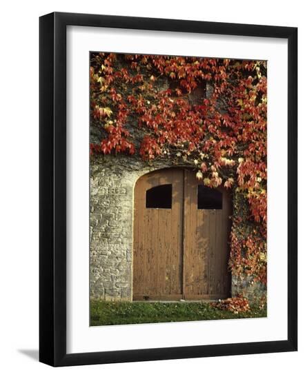 Premium Photographic Print, , large