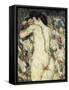 Liegender Frauenakt, 1911 (Oil on Canvas)-Christian Rohlfs-Framed Stretched Canvas