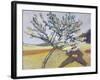 Liegender Mann Unter Bluehendem Baum, 1903-Paula Modersohn-Becker-Framed Giclee Print