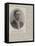 Lieutenant a C Lowry, Rn, Medallist of the Royal Humane Society-null-Framed Stretched Canvas