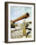 Lieutenant Mulhair from the 196th Signal Photo Company of the 5th United States Army-null-Framed Photographic Print