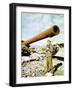 Lieutenant Mulhair from the 196th Signal Photo Company of the 5th United States Army-null-Framed Photographic Print