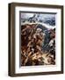 Lieutenant Thomas Wilkinson, Loyal North Lancaster Regiment-Stanley L. Wood-Framed Giclee Print