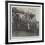 Lieutenants Clifford and Moorhouse, Officers in Charge, and Non-Commissioned Officers for Uganda-null-Framed Giclee Print