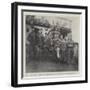 Lieutenants Clifford and Moorhouse, Officers in Charge, and Non-Commissioned Officers for Uganda-null-Framed Giclee Print