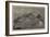 Lievely Harbour, Disco Island, First Halting Place of the Arctic Expedition-null-Framed Giclee Print