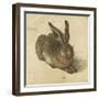 Lièvre couché, tourné vers la droite-Albrecht Dürer-Framed Giclee Print