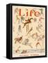 Life, 1924 Olympics-null-Framed Stretched Canvas