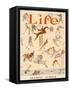 Life, 1924 Olympics-null-Framed Stretched Canvas