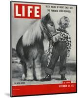 LIFE 30 inch Horse 1952-null-Mounted Art Print