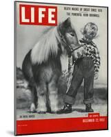 LIFE 30 inch Horse 1952-null-Mounted Art Print