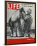 LIFE 30 inch Horse 1952-null-Framed Art Print