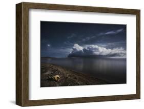 Life after death-Nicolas Marino-Framed Photographic Print