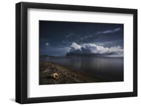 Life after death-Nicolas Marino-Framed Photographic Print