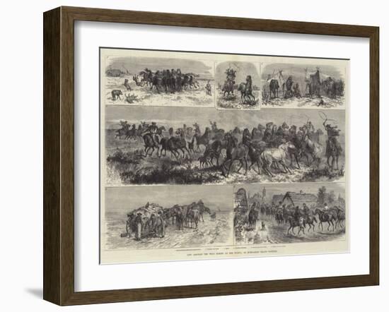 Life Amongst the Wild Horses of the Puszta, or Hungarian Heath Contry-Johann Nepomuk Schonberg-Framed Giclee Print