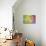 Life And Color-Ata Alishahi-Mounted Giclee Print displayed on a wall