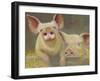 Life as a Pig II-Carolyne Hawley-Framed Art Print