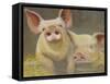 Life as a Pig II-Carolyne Hawley-Framed Stretched Canvas