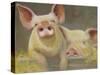 Life as a Pig II-Carolyne Hawley-Stretched Canvas