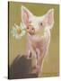 Life as a Pig IV-Carolyne Hawley-Stretched Canvas