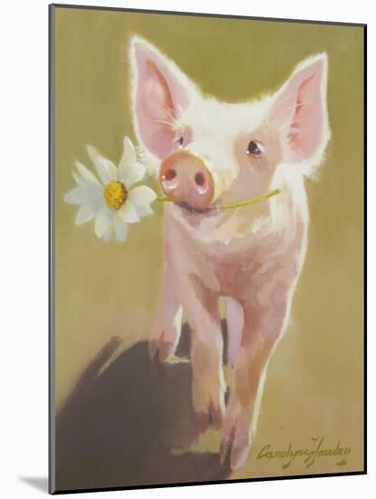 Life as a Pig IV-Carolyne Hawley-Mounted Art Print