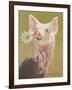 Life as a Pig IV-Carolyne Hawley-Framed Art Print