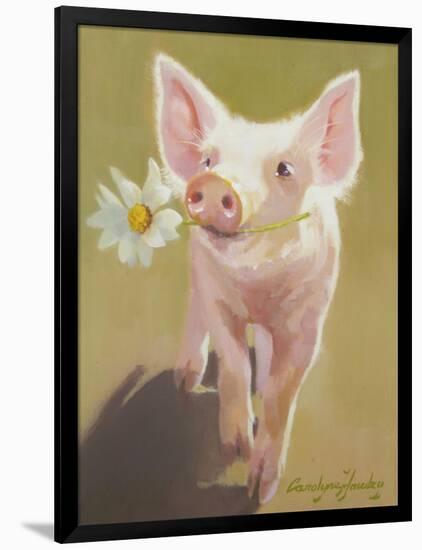 Life as a Pig IV-Carolyne Hawley-Framed Art Print