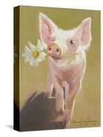 Life as a Pig IV-Carolyne Hawley-Stretched Canvas