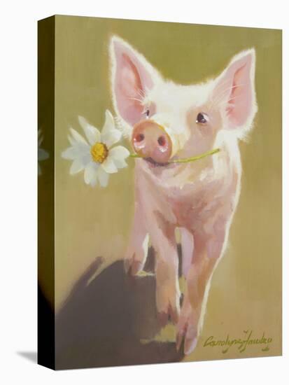 Life as a Pig IV-Carolyne Hawley-Stretched Canvas