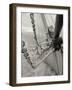 Life at Sea II-Brian Kidd-Framed Photographic Print