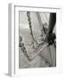 Life at Sea II-Brian Kidd-Framed Photographic Print