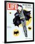 LIFE Batman Mad New World 1966-null-Framed Art Print