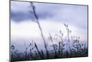 Wood Mount