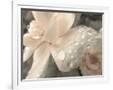 Gramercy White
