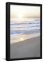 Essential Black