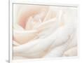 Gramercy White