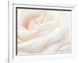 Gramercy White