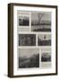 Life-Boat Saturday in Manchester-null-Framed Giclee Print