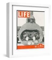 LIFE Bomber Taks Force 1942-null-Framed Art Print