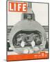 LIFE Bomber Taks Force 1942-null-Mounted Art Print