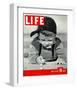 LIFE Boy playing marbles 1937-null-Framed Premium Giclee Print