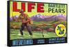 Life Brand Bartlett Pears Fruit Crate Label-null-Framed Stretched Canvas